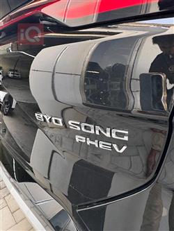 بی وای دی سۆنگ پڵەس